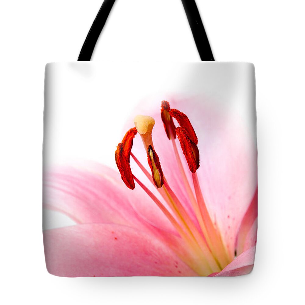 Lily Tote Bag featuring the photograph Pink Lilies 08 by Nailia Schwarz