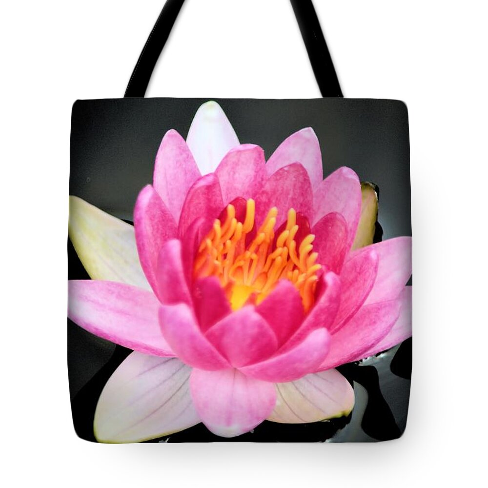 Water Tote Bag featuring the photograph Pink Lilly by Bonfire Photography