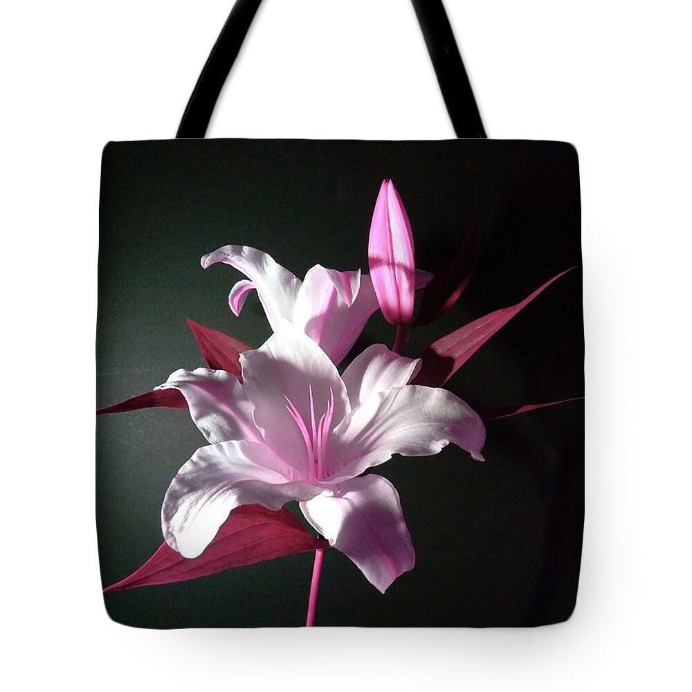 Pink Lily Tote Bag featuring the photograph Pink Lily by Delynn Addams