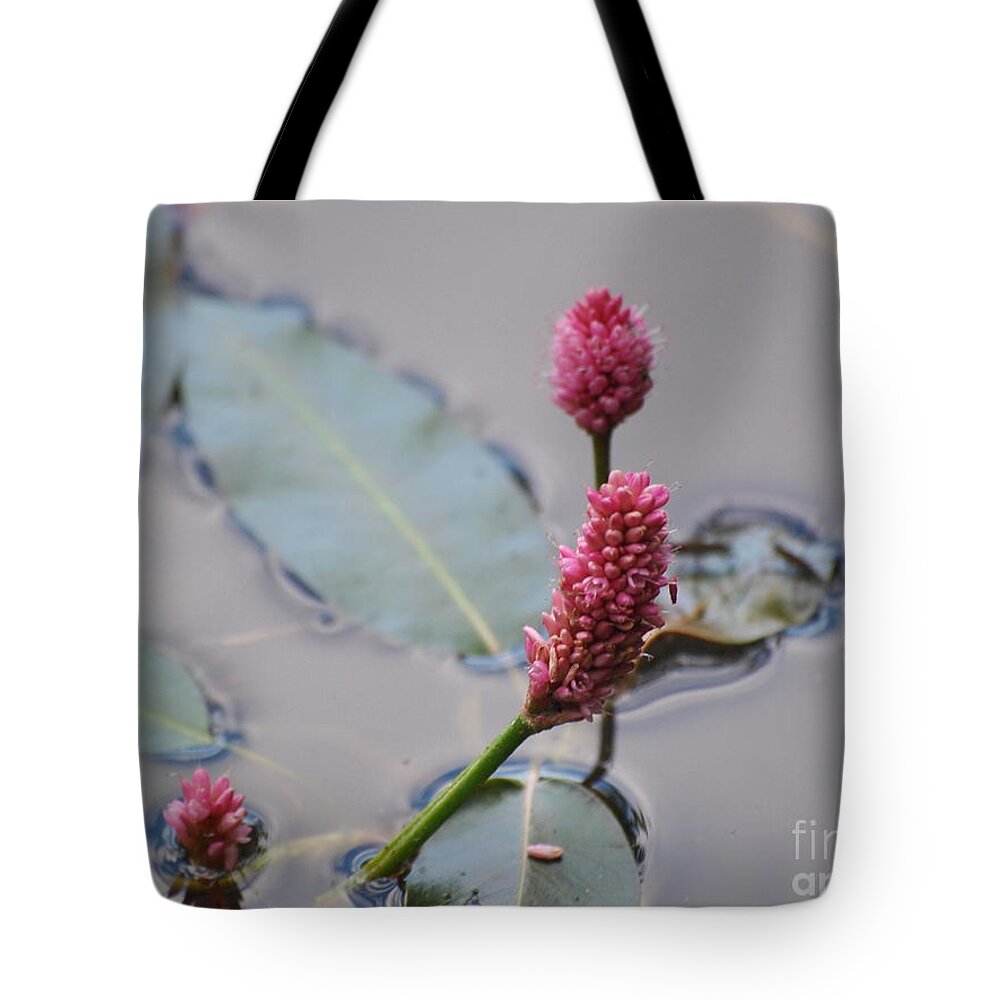 Pink Tote Bag featuring the photograph Pink Lily Pad by Vivian Martin