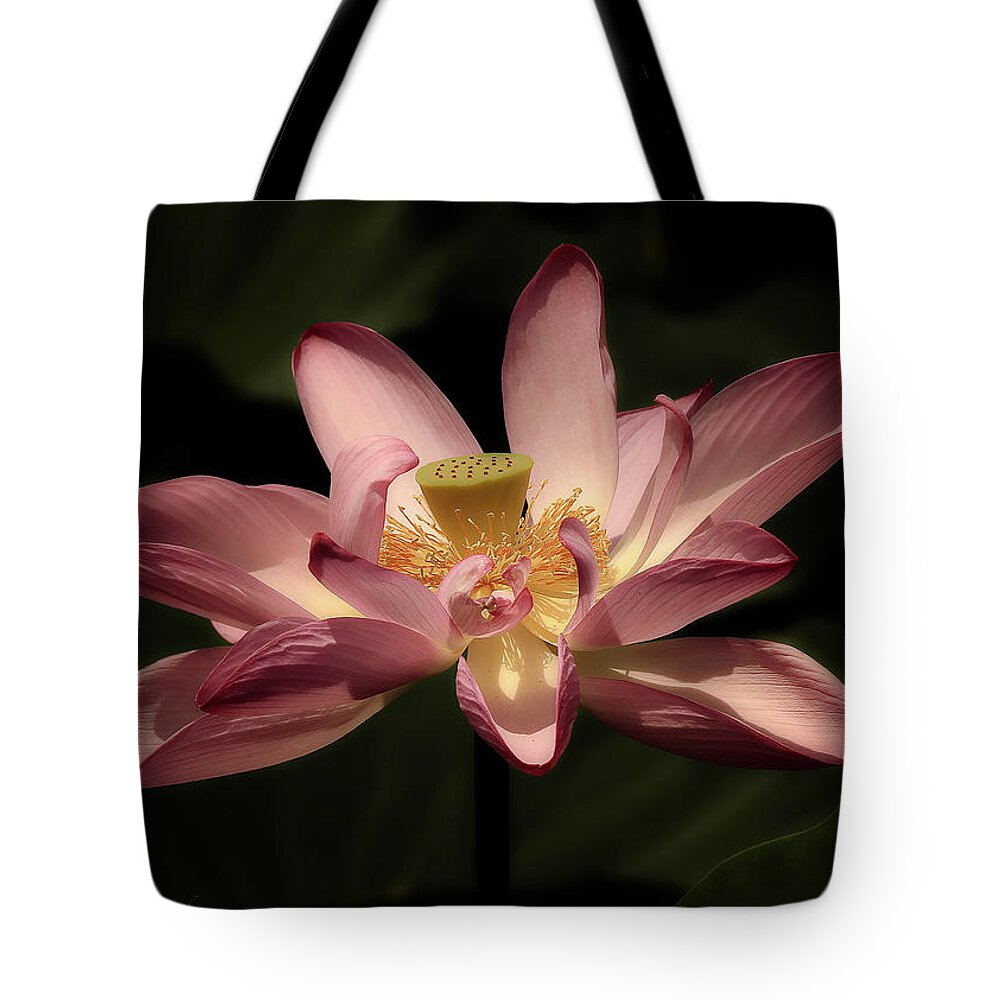 Lotus Tote Bag featuring the photograph Pink Lotus by C Renee Martin