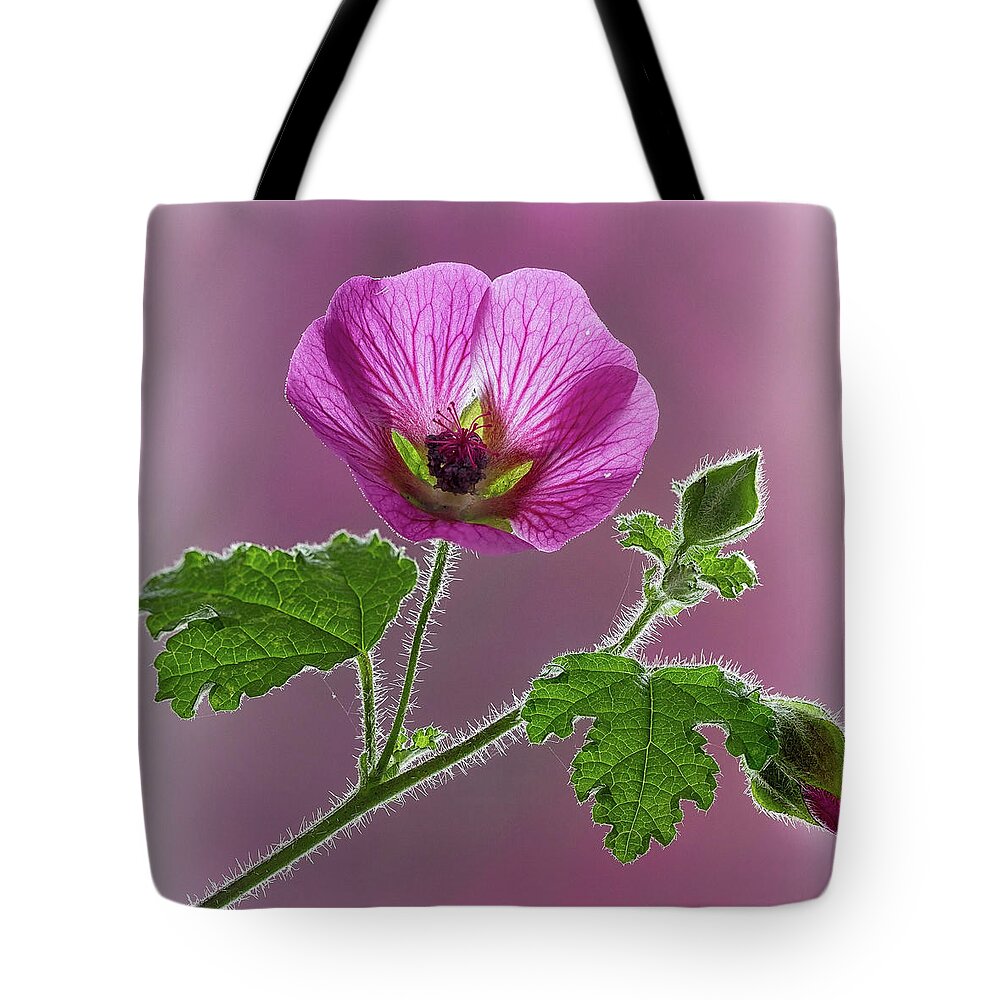 Blossom Tote Bag featuring the photograph Pink Mallow Flower by Shirley Mitchell