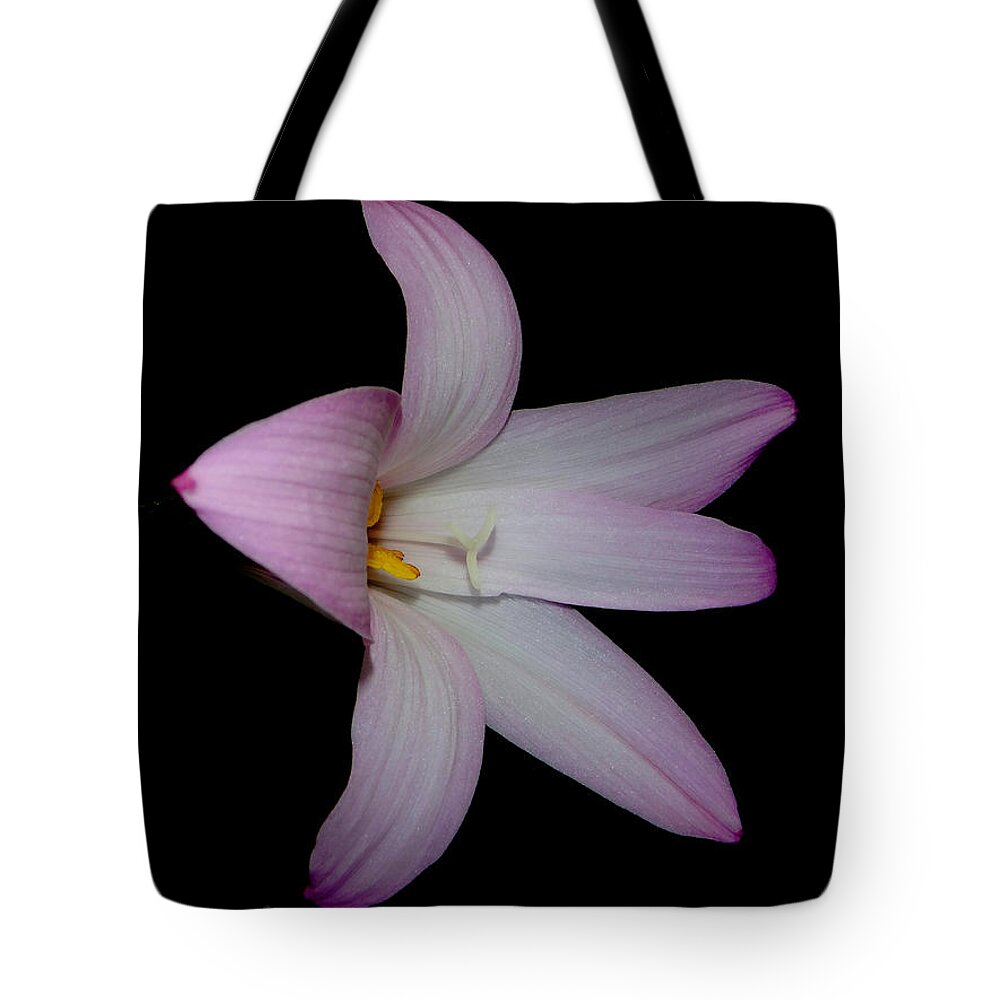 Pink Tote Bag featuring the photograph Pink on Black by Judy Hall-Folde