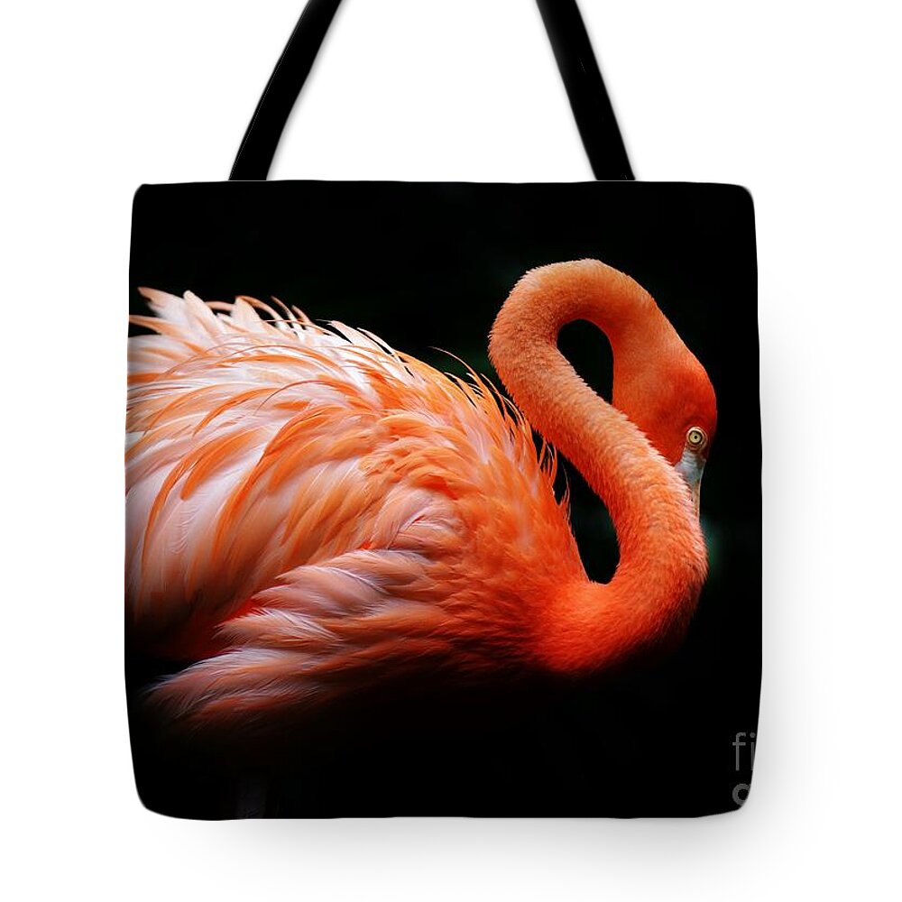 Pink Flamingo Tote Bag featuring the photograph Pink on Black by Julie Adair