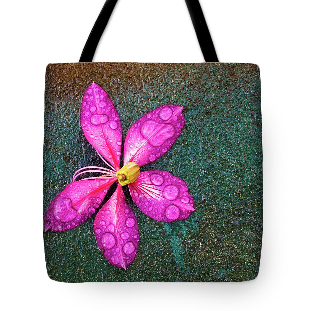 Christopher Johnson Tote Bag featuring the photograph Pink Orchid Flower by Christopher Johnson