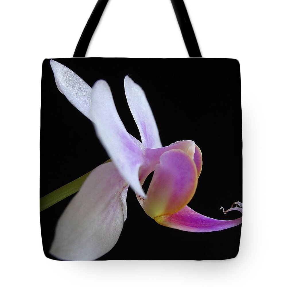Georgia Tote Bag featuring the photograph Pink Orchid by Juergen Roth