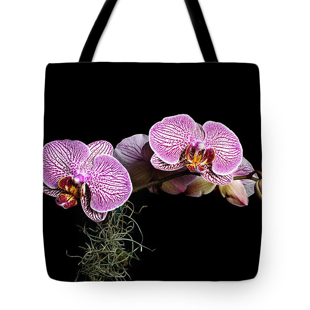 Orchid Tote Bag featuring the photograph Pink Orchids by Gary Dean Mercer Clark
