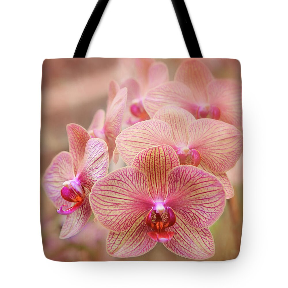 Bloom Tote Bag featuring the photograph Pink Orchids by Robert FERD Frank