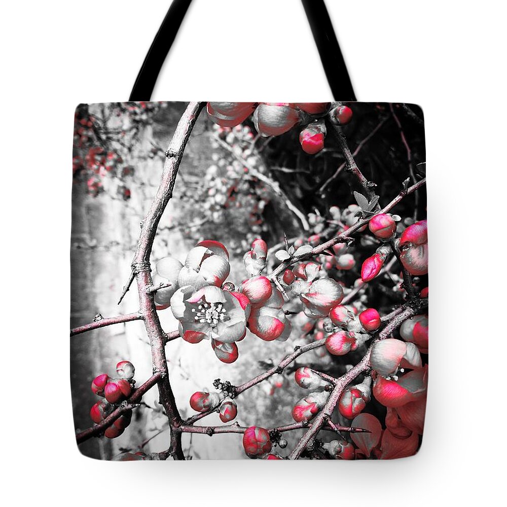  Tote Bag featuring the photograph Pink Paradise Apple by Jarek Filipowicz
