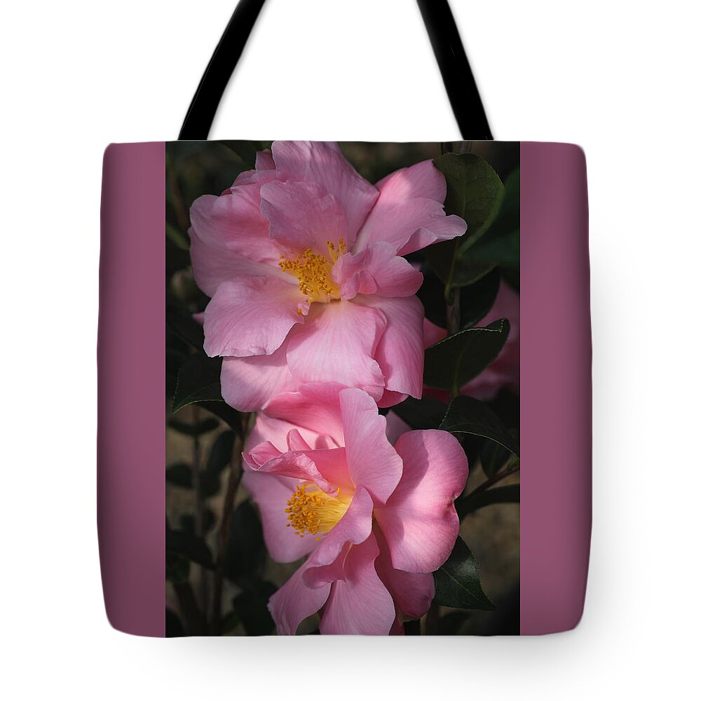 Flowers Tote Bag featuring the photograph Pink Parfait by Tammy Pool