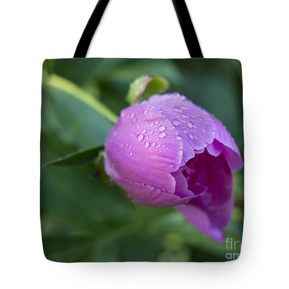Pink Peony Tote Bag featuring the photograph Pink Peony by Alana Ranney