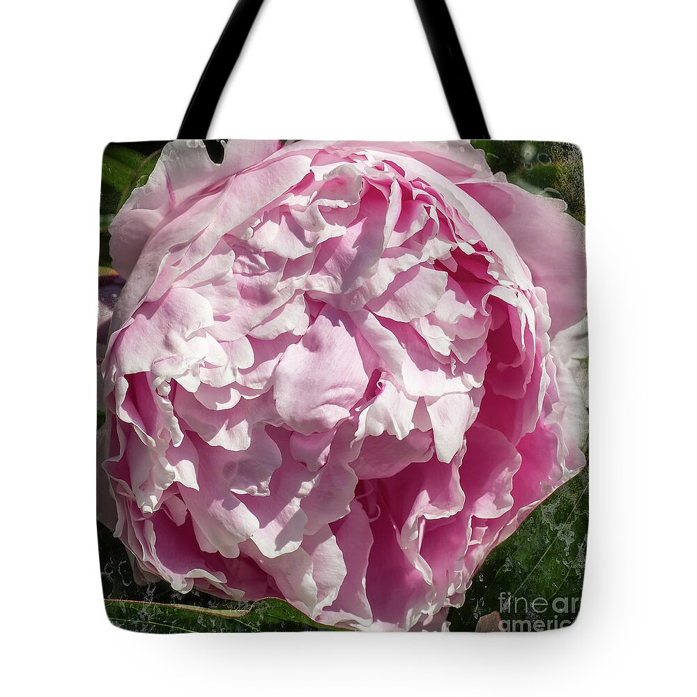 Pink Peony Tote Bag featuring the photograph Pink Peony II by Scott and Dixie Wiley