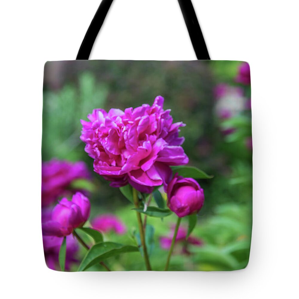 Peony Tote Bag featuring the photograph Pink Peony by Pamela Williams