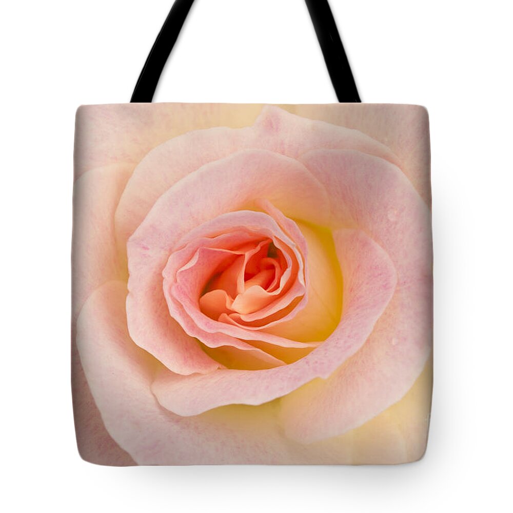 Rose Tote Bag featuring the photograph Sweetness by Patty Colabuono