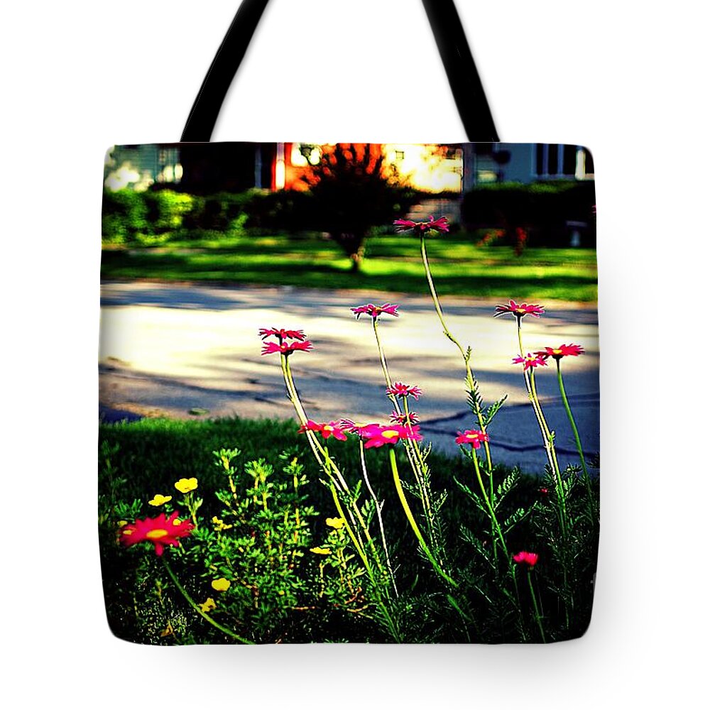 Daisy Tote Bag featuring the photograph Pink Petals in the Sunlight by Frank J Casella