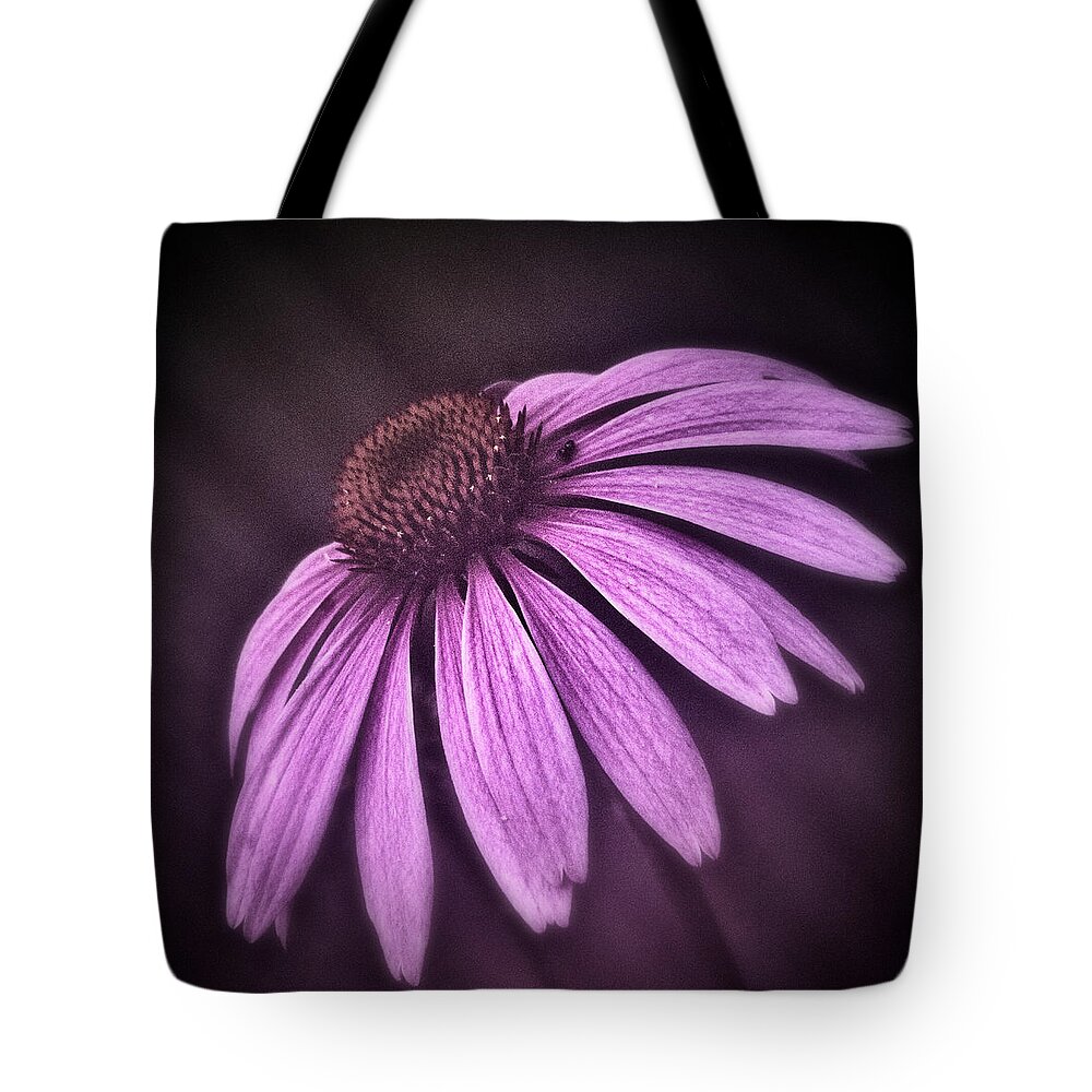 Coneflower Tote Bag featuring the photograph Pink by Robert Fawcett