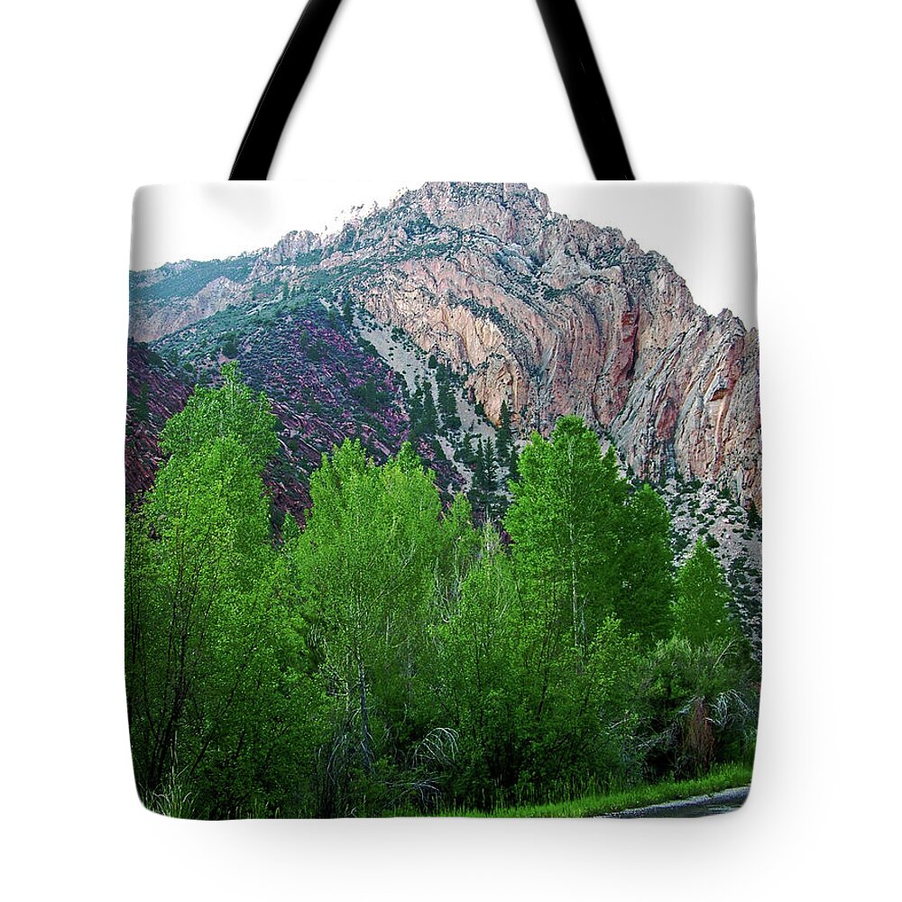 Pink Rock On Sheep Creek Geological Loopl In Flaming Gorge National Recreation Area Tote Bag featuring the photograph Pink Rock on Sheep Creek Geological Loop in Flaming Gorge National Recreation Area, Utah by Ruth Hager