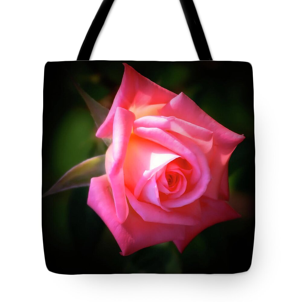 Garden Tote Bag featuring the photograph Pink Rose by Albert Seger