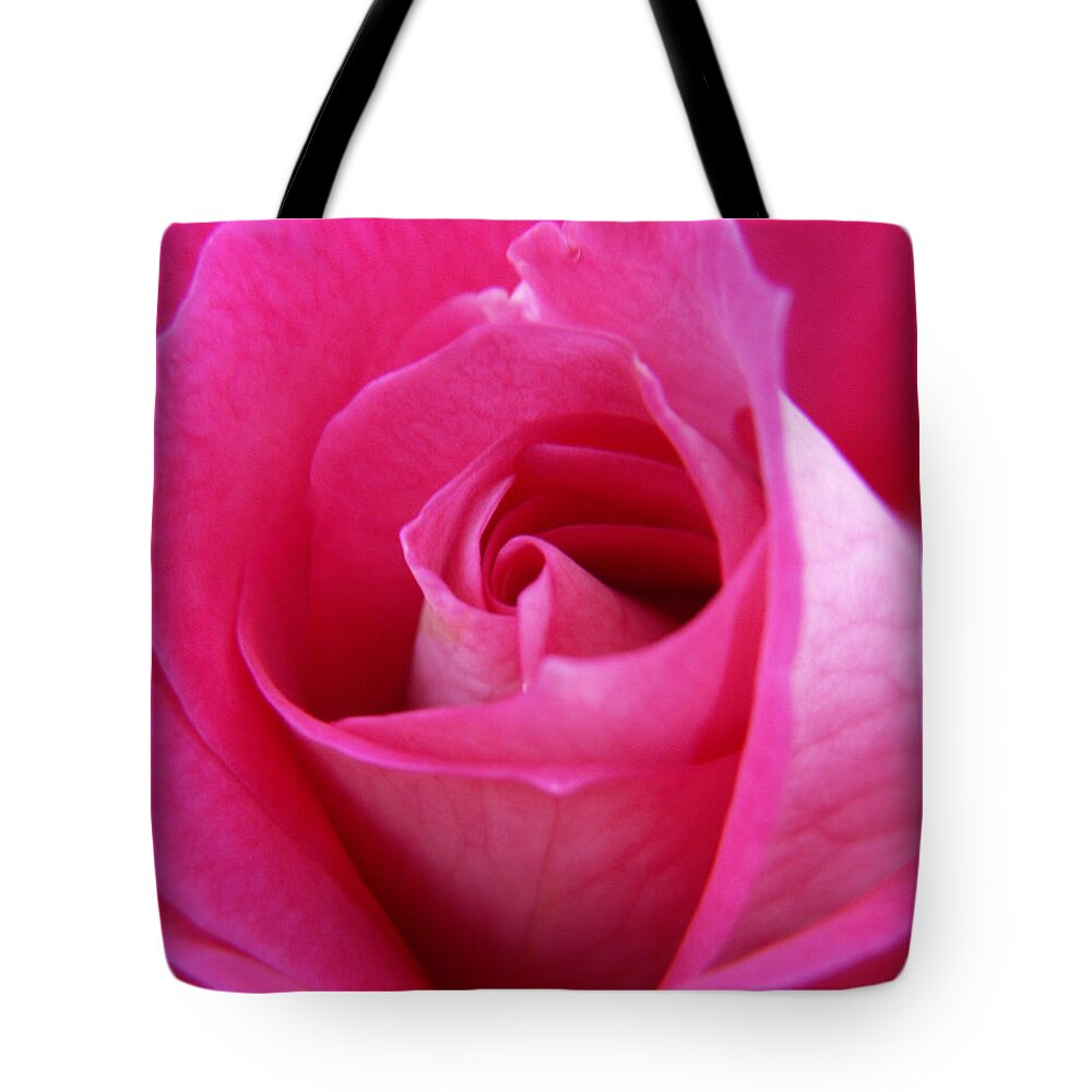 Rose Tote Bag featuring the photograph Pink Rose by Amy Fose