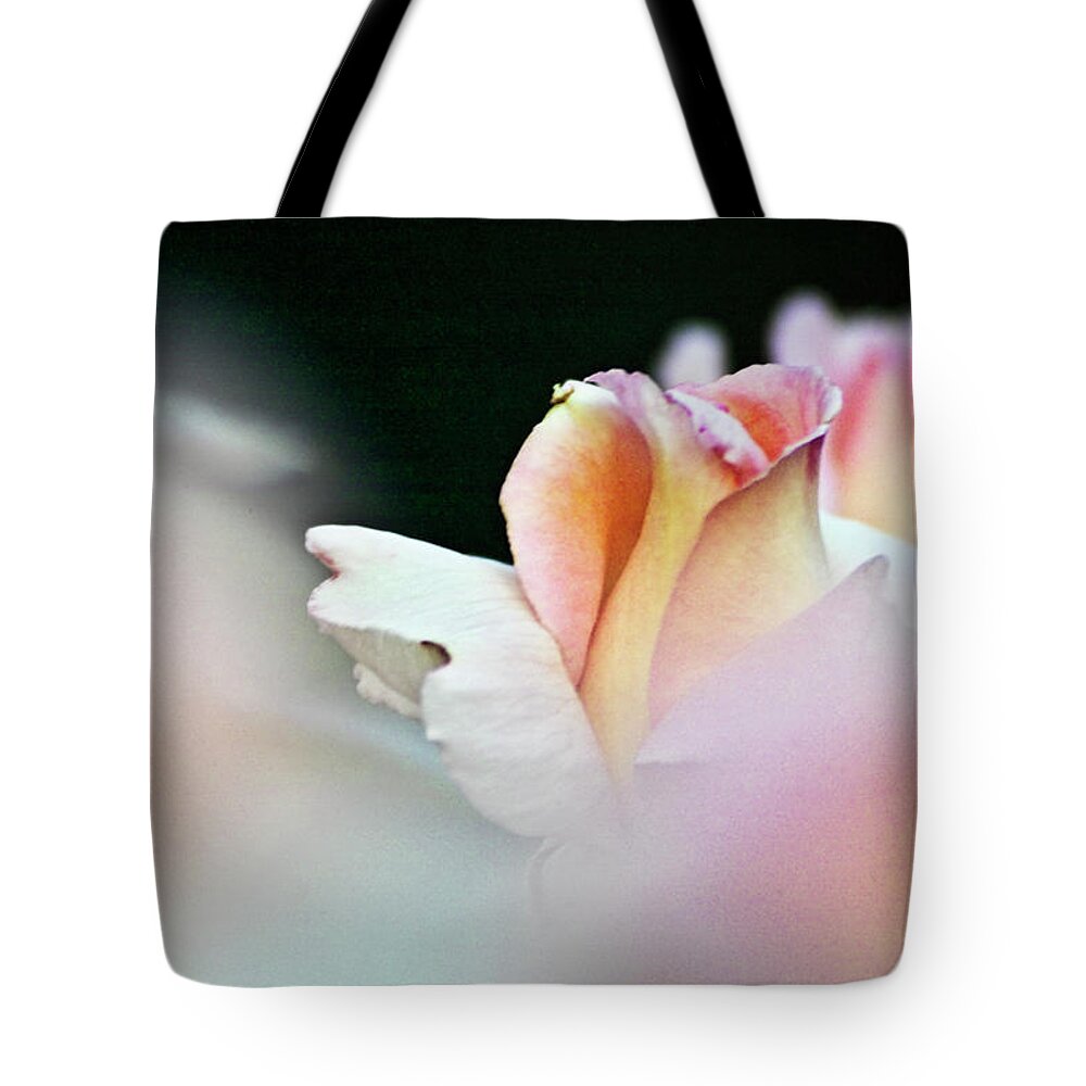 Rose Tote Bag featuring the photograph Pink Rose by Heiko Koehrer-Wagner