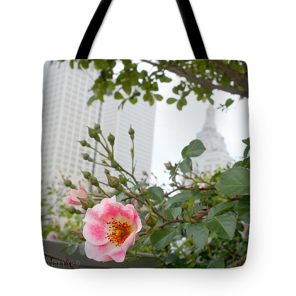 Susan Vineyard Tote Bag featuring the photograph Pink Rose of Tulsa by Susan Vineyard
