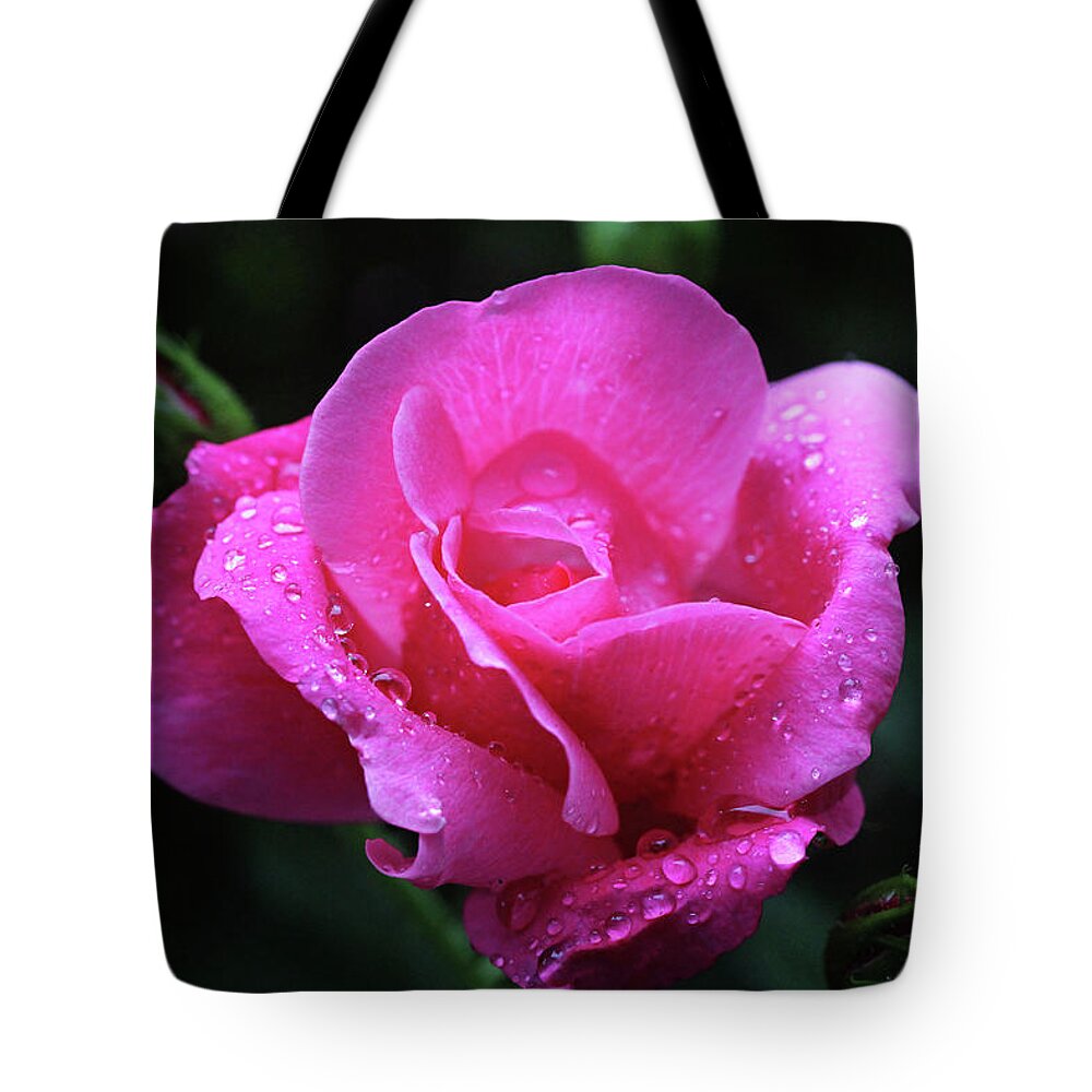 Roses Tote Bag featuring the photograph Pink Rose with Raindrops by Trina Ansel