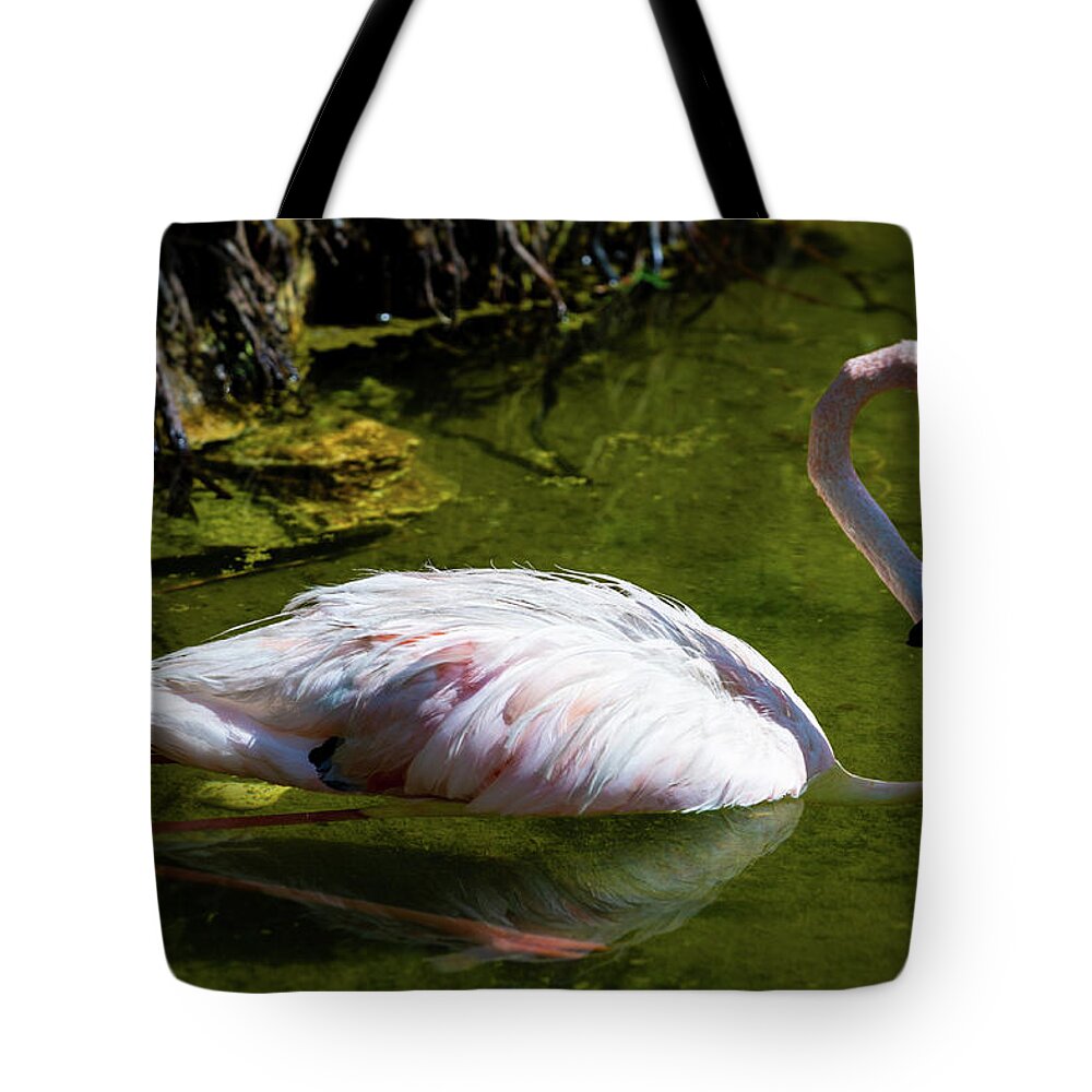 Pink Tote Bag featuring the photograph Pink by Ross Henton