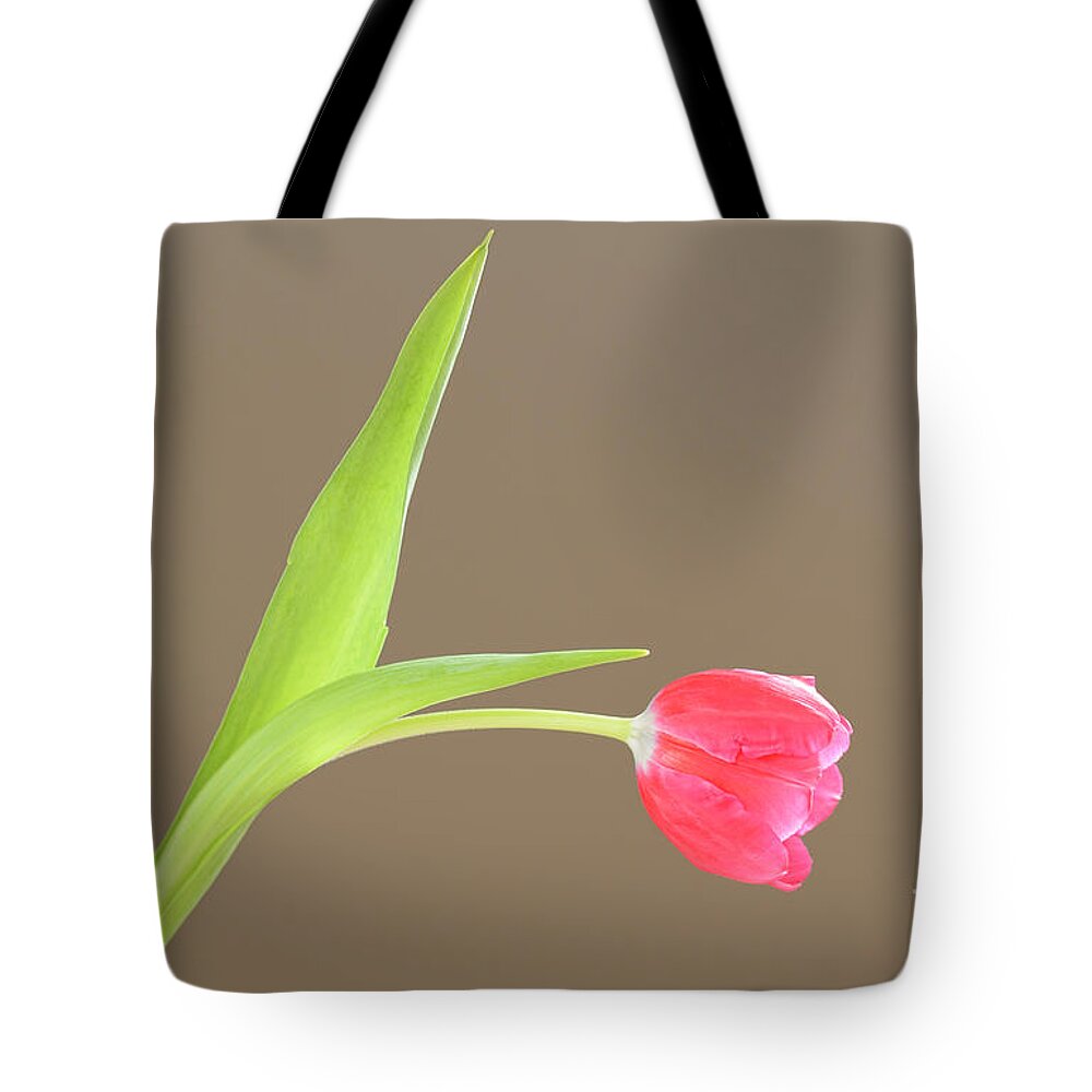 Pink Tote Bag featuring the photograph Pink Tulip by Alana Ranney
