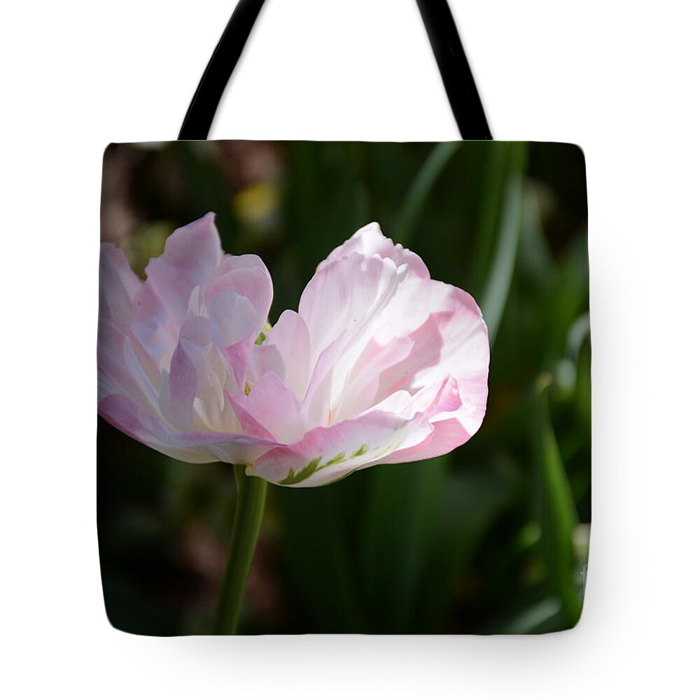 Flower Tote Bag featuring the painting Sun Kissed Flower by Constance Woods