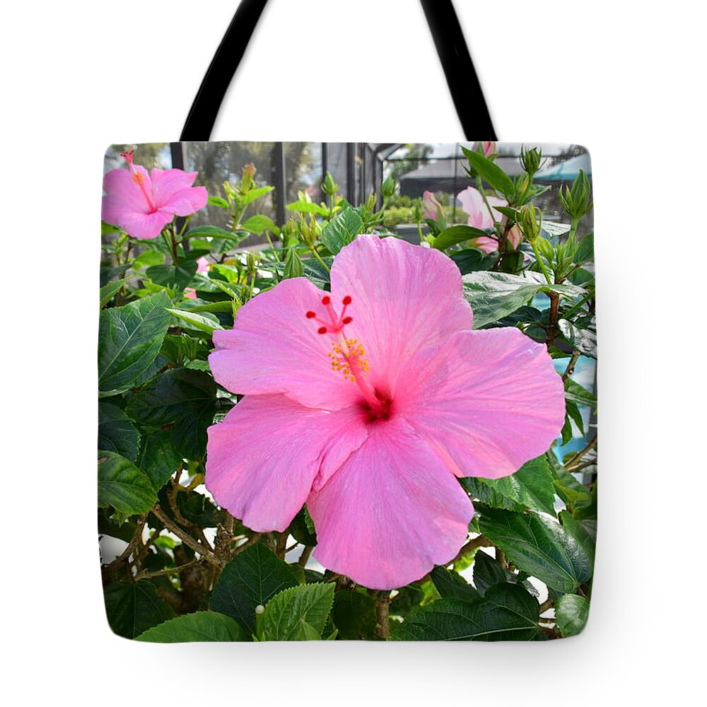 Florida Tote Bag featuring the photograph Pink Twins by Florene Welebny