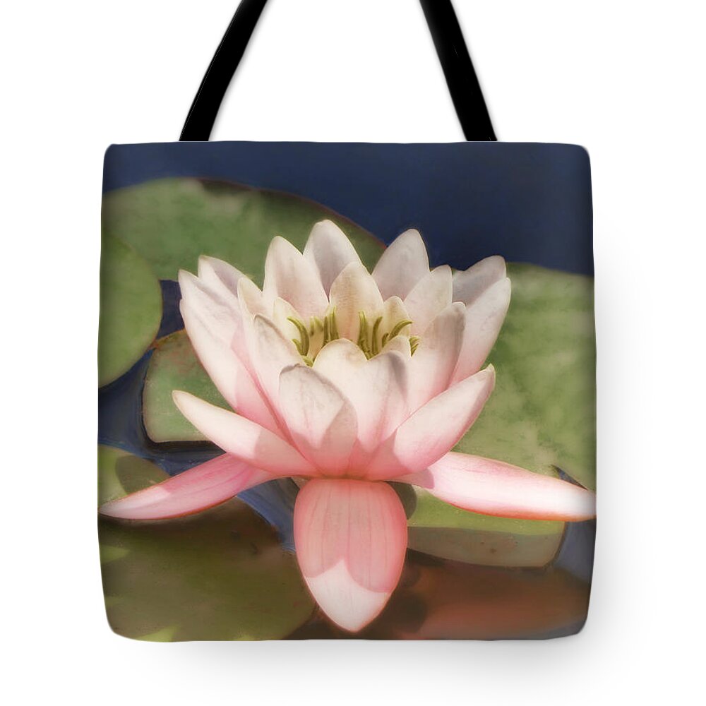 Water Lily Tote Bag featuring the photograph Pink Water Lily - photograph by Ann Powell