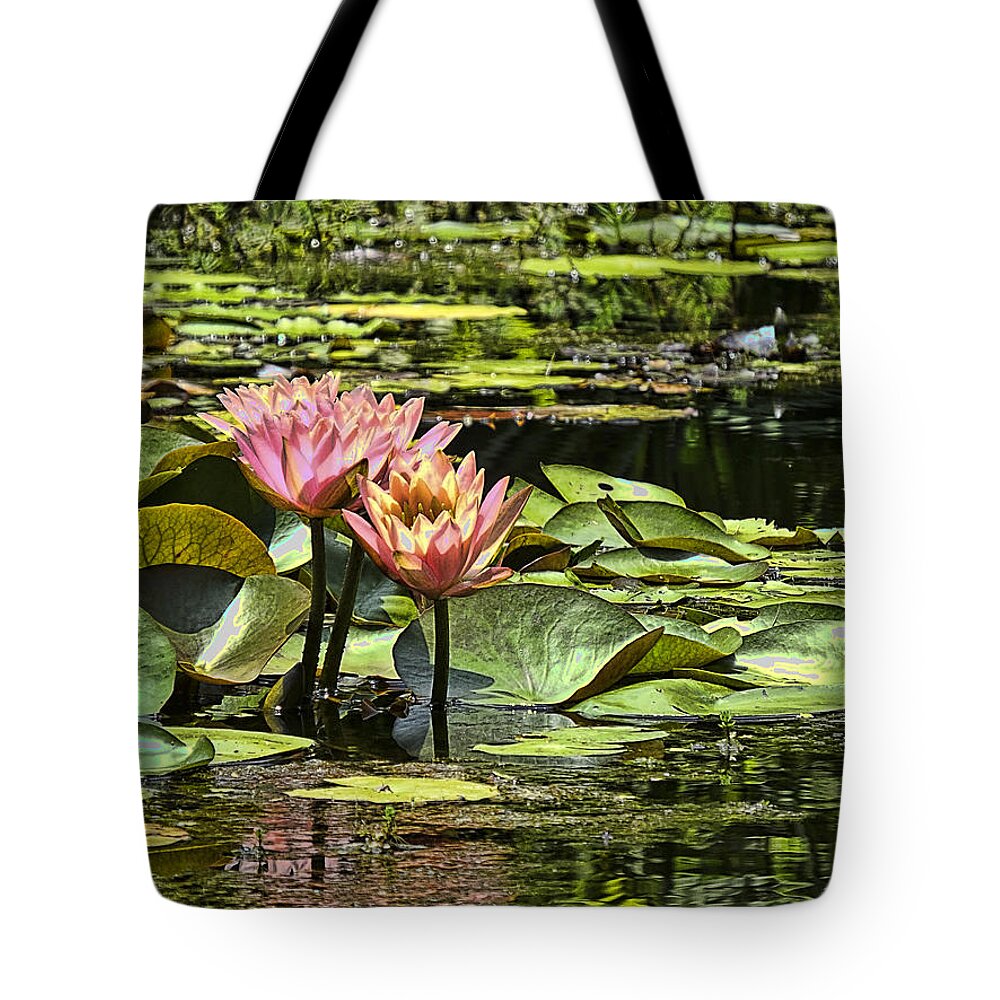 Water Tote Bag featuring the photograph Pink Water Lily Reflections by Bill Barber
