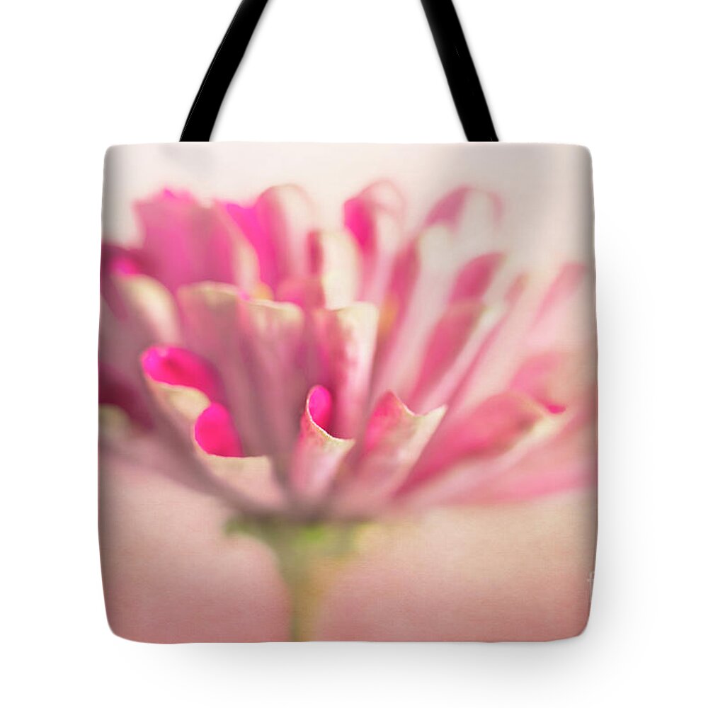 Pink Zinnia Tote Bag featuring the photograph Pink Zinnia by Elena Nosyreva