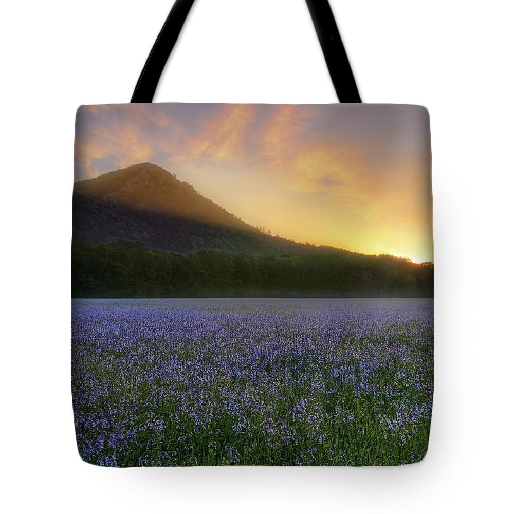 Pinnacle Mountain Tote Bag featuring the photograph Pinnacle Mountain Sunrise - Arkansas - State Park by Jason Politte