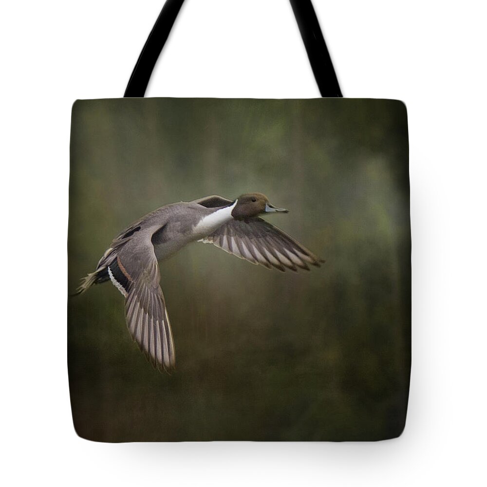 Flying Duck Tote Bag featuring the photograph In Flight #1 by Marilyn Wilson