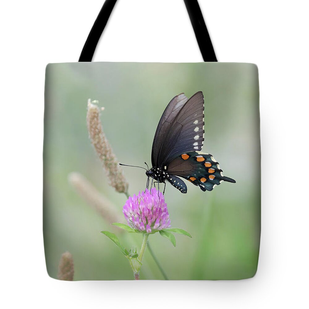 Butterfly Tote Bag featuring the photograph Pipevine Swallowtail by Susan Rissi Tregoning