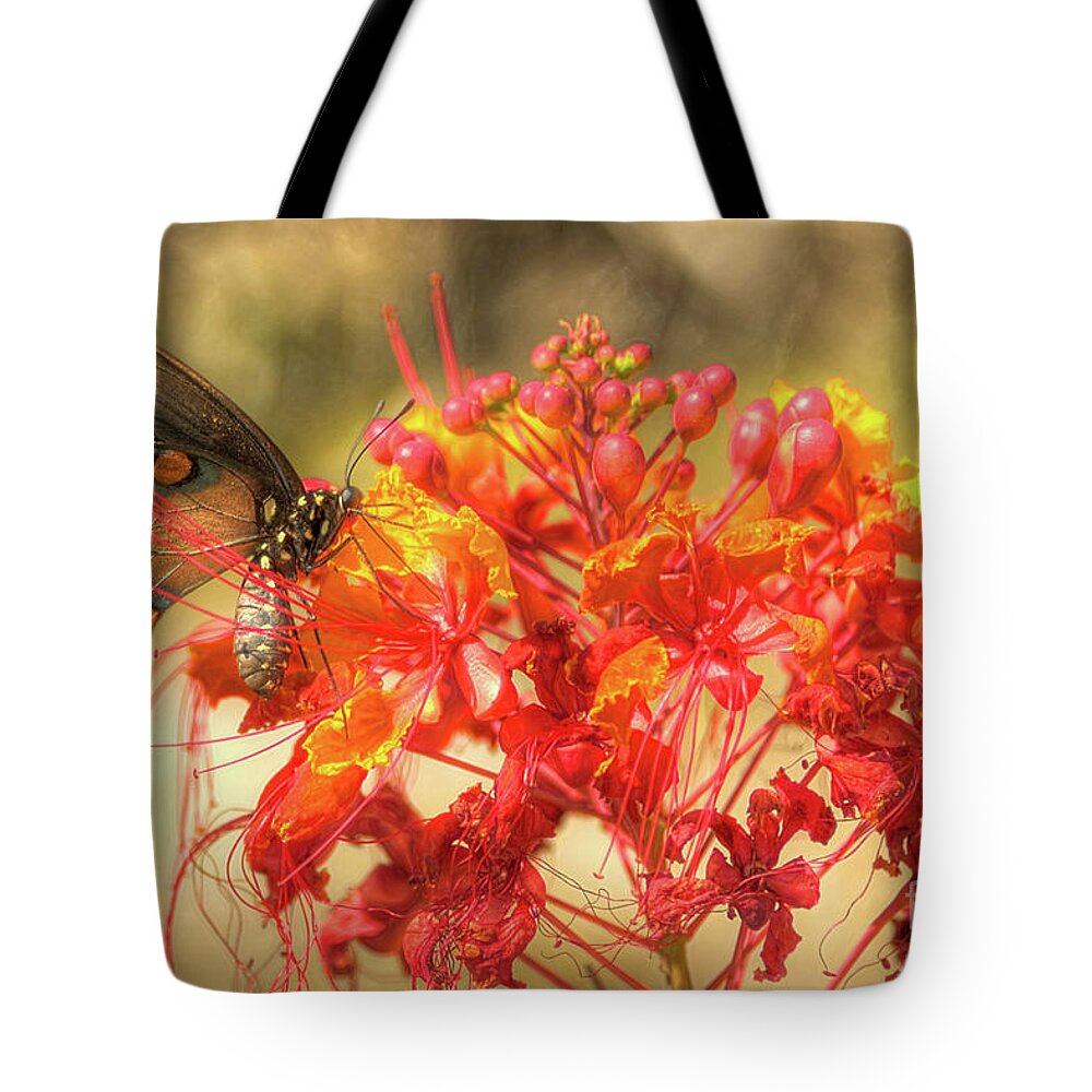 Butterfly Tote Bag featuring the photograph Pipevine Swallowtail with Pride of Barbados by Michael Tidwell