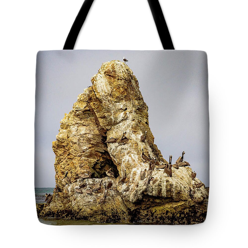 Pismo Beach Tote Bag featuring the photograph Pismo Rock by Jeff Hubbard