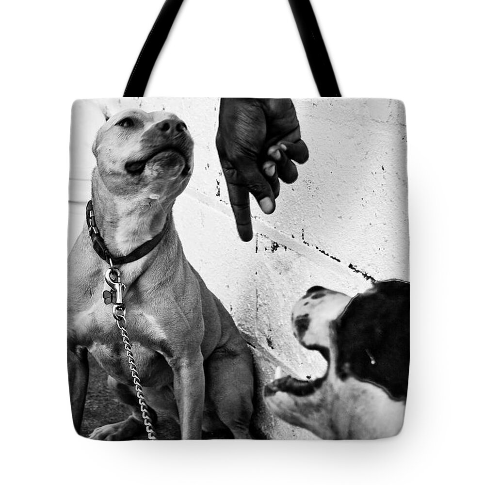 Photography Tote Bag featuring the photograph Pit Boss by Rennie RenWah