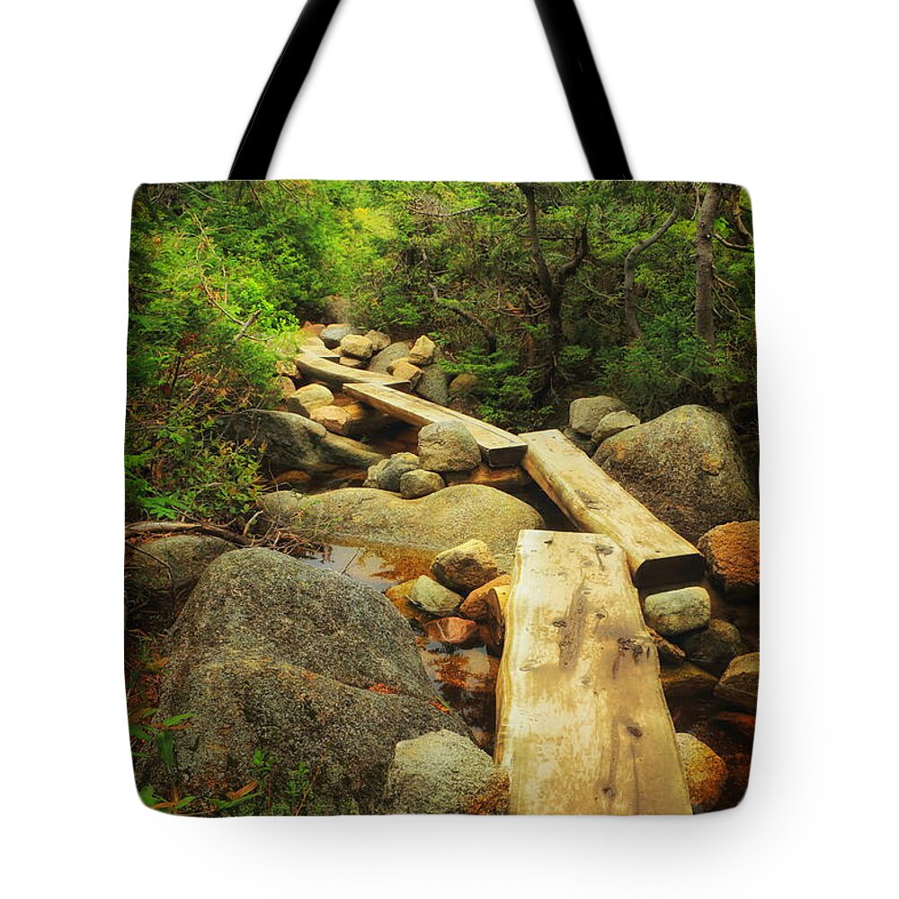 Planks Tote Bag featuring the photograph Planks Along the Way by Elizabeth Dow