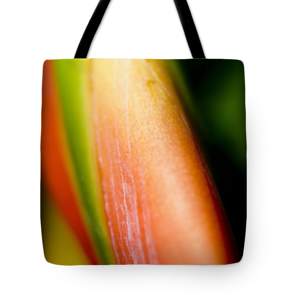 83-csm0051 Tote Bag featuring the photograph Plant Abstract III by Ray Laskowitz - Printscapes