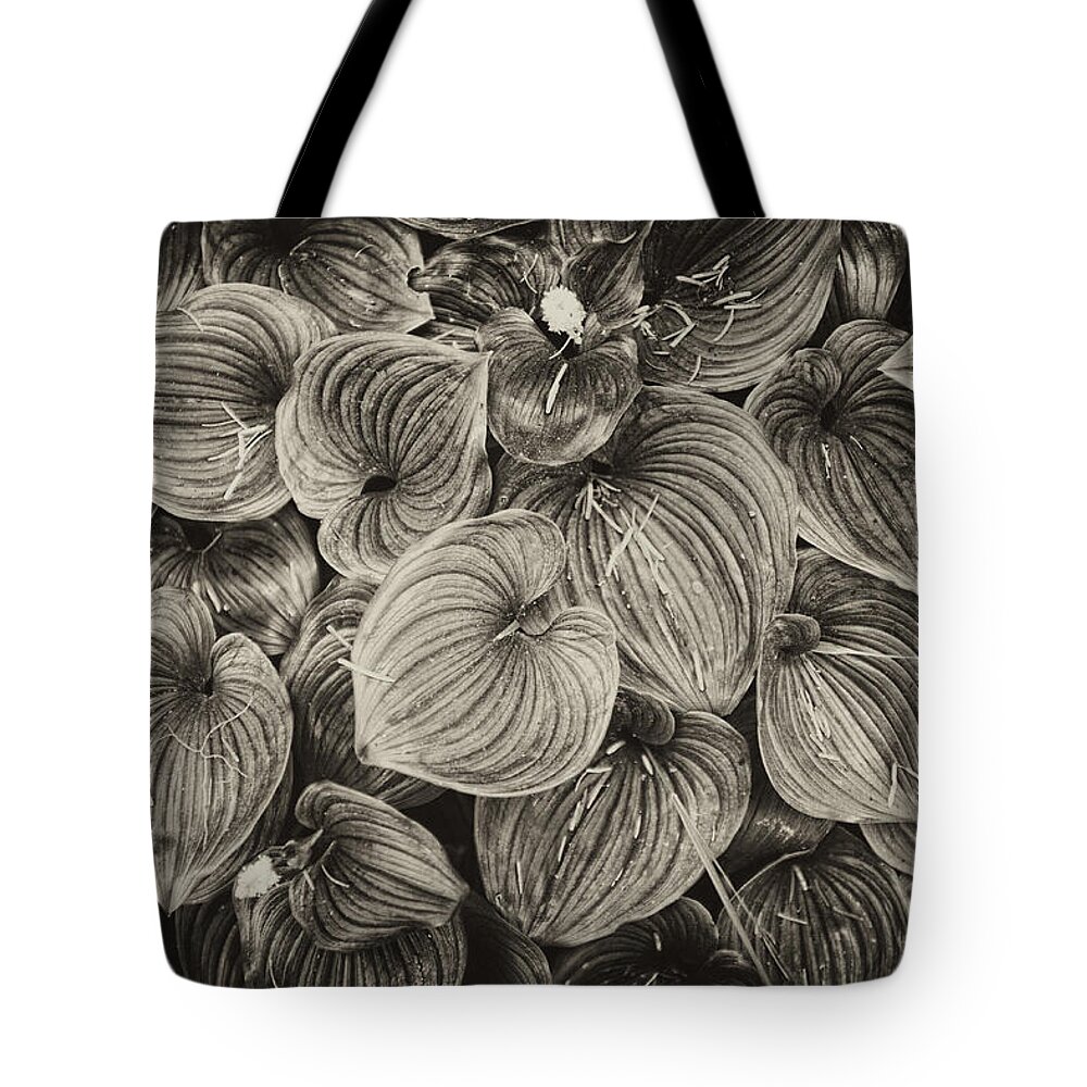 Ferns Tote Bag featuring the photograph False Lily of the Valley by Hugh Smith