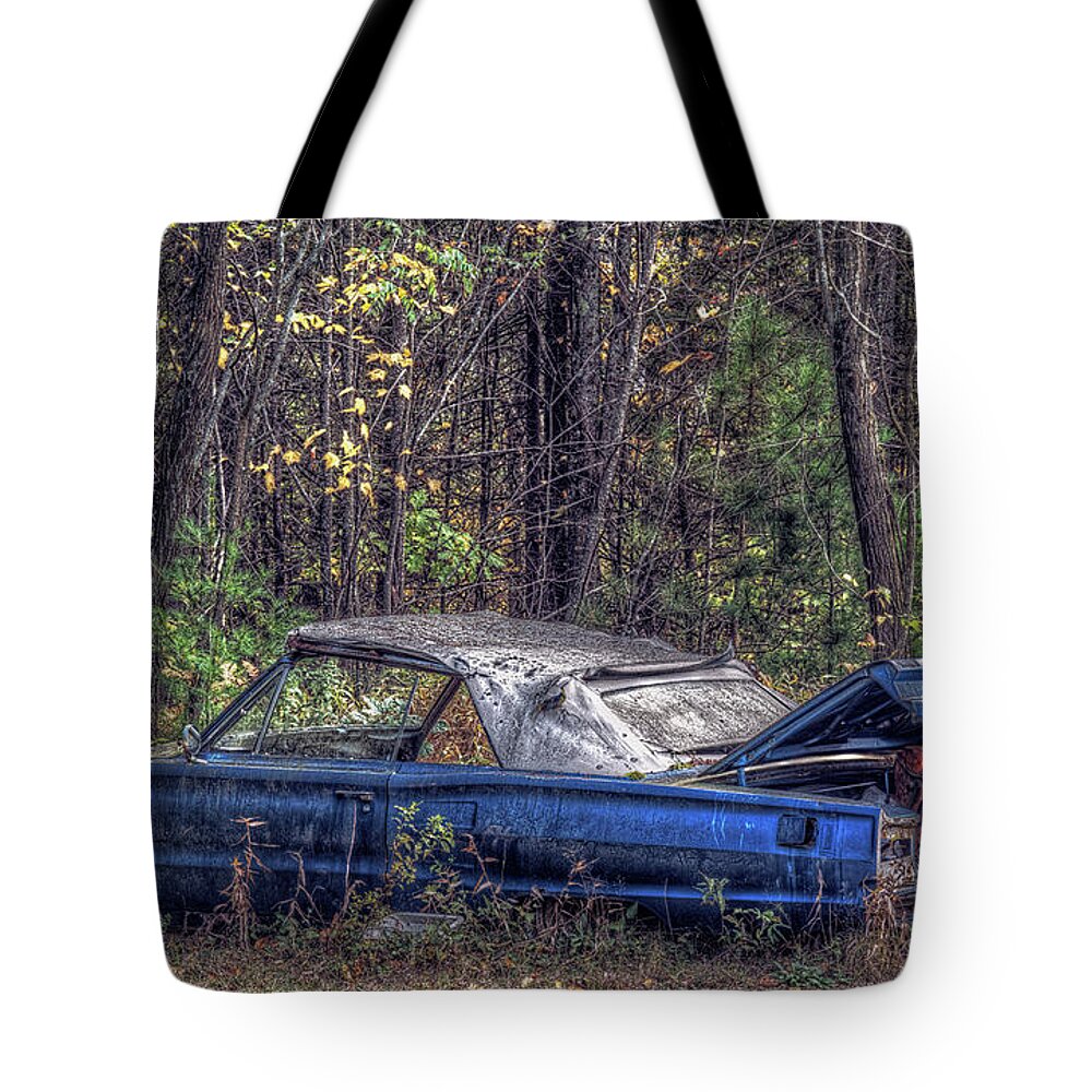 Abandoned Tote Bag featuring the photograph Pleasantries of Man's Best Friend by Richard Bean