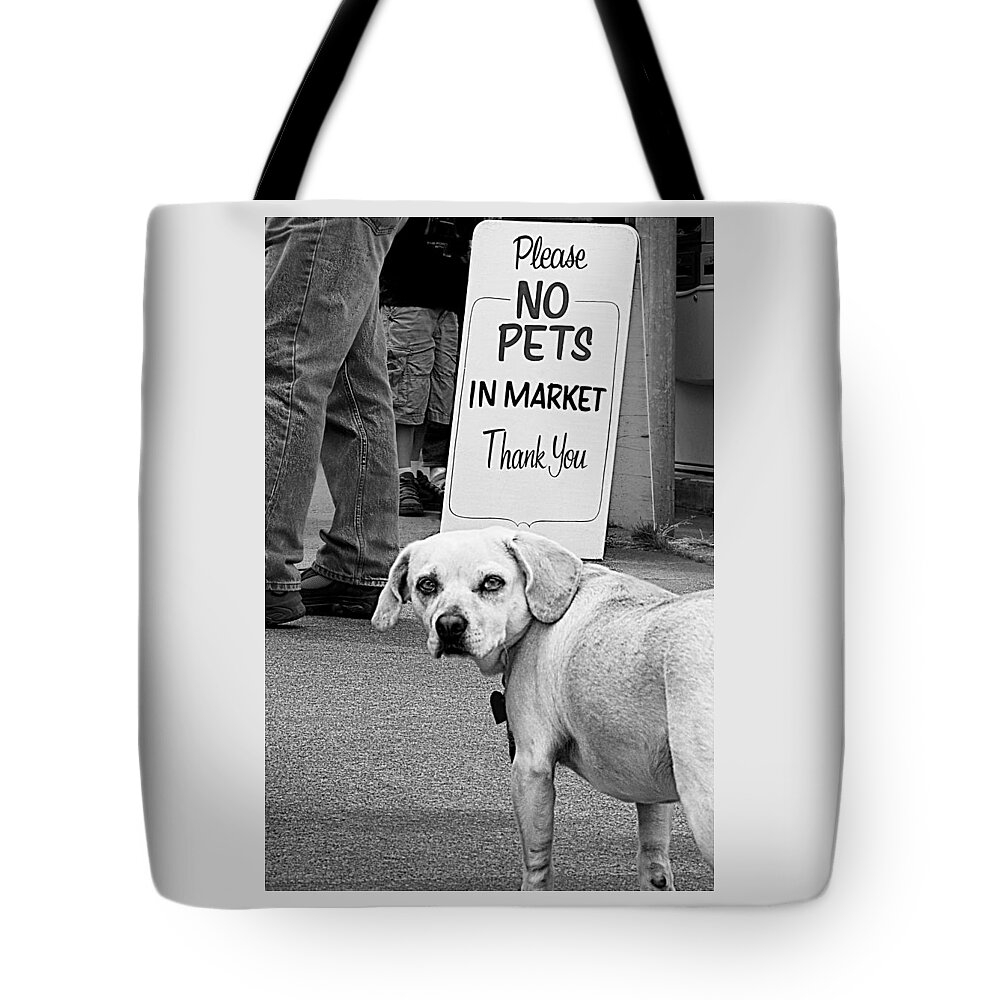 Dog Tote Bag featuring the photograph Please No Pets in Market by Mitch Spence