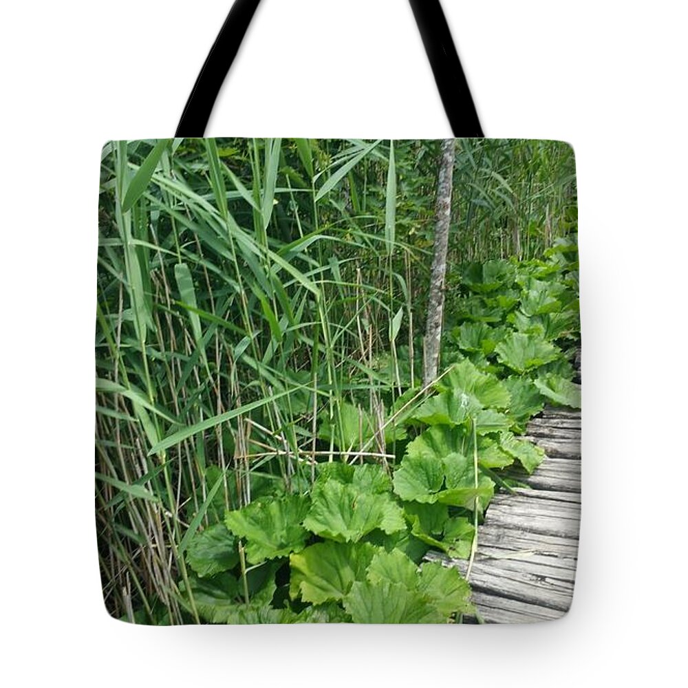  Tote Bag featuring the photograph Plitvice Lakes, Croatia 18 Gracious Green by Zachary Lowery