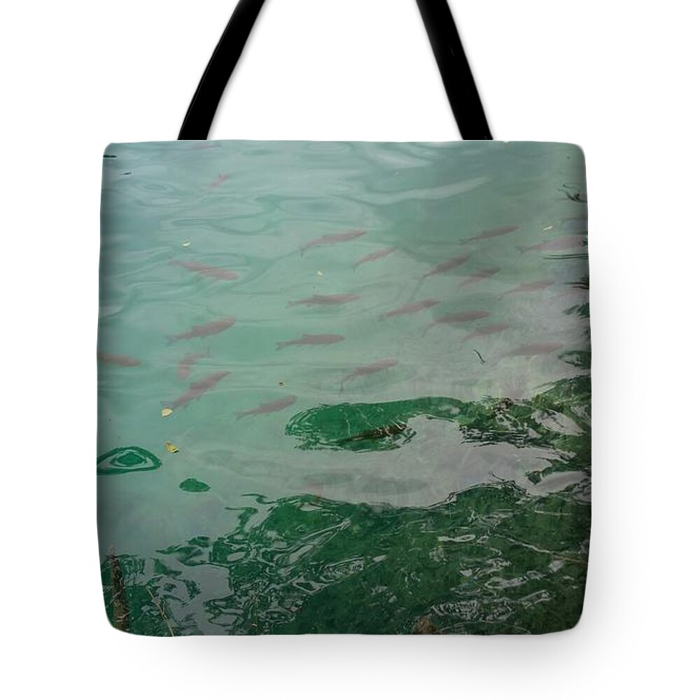  Tote Bag featuring the photograph Plitvice Lakes, Croatia 38 Swimming school 3 by Zachary Lowery
