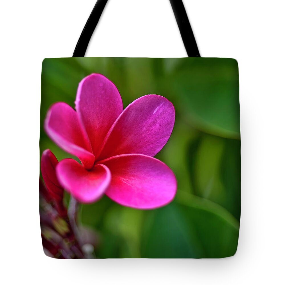 Hawaii Tote Bag featuring the photograph Plumeria - Royal Hawaiian by Dan McManus