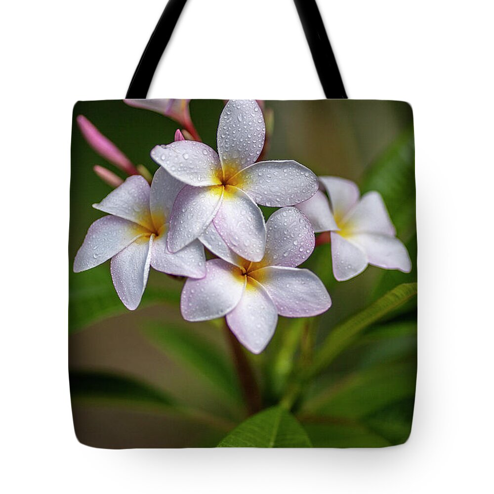Tropical Tote Bag featuring the photograph Plumeria 3 by Al Hurley