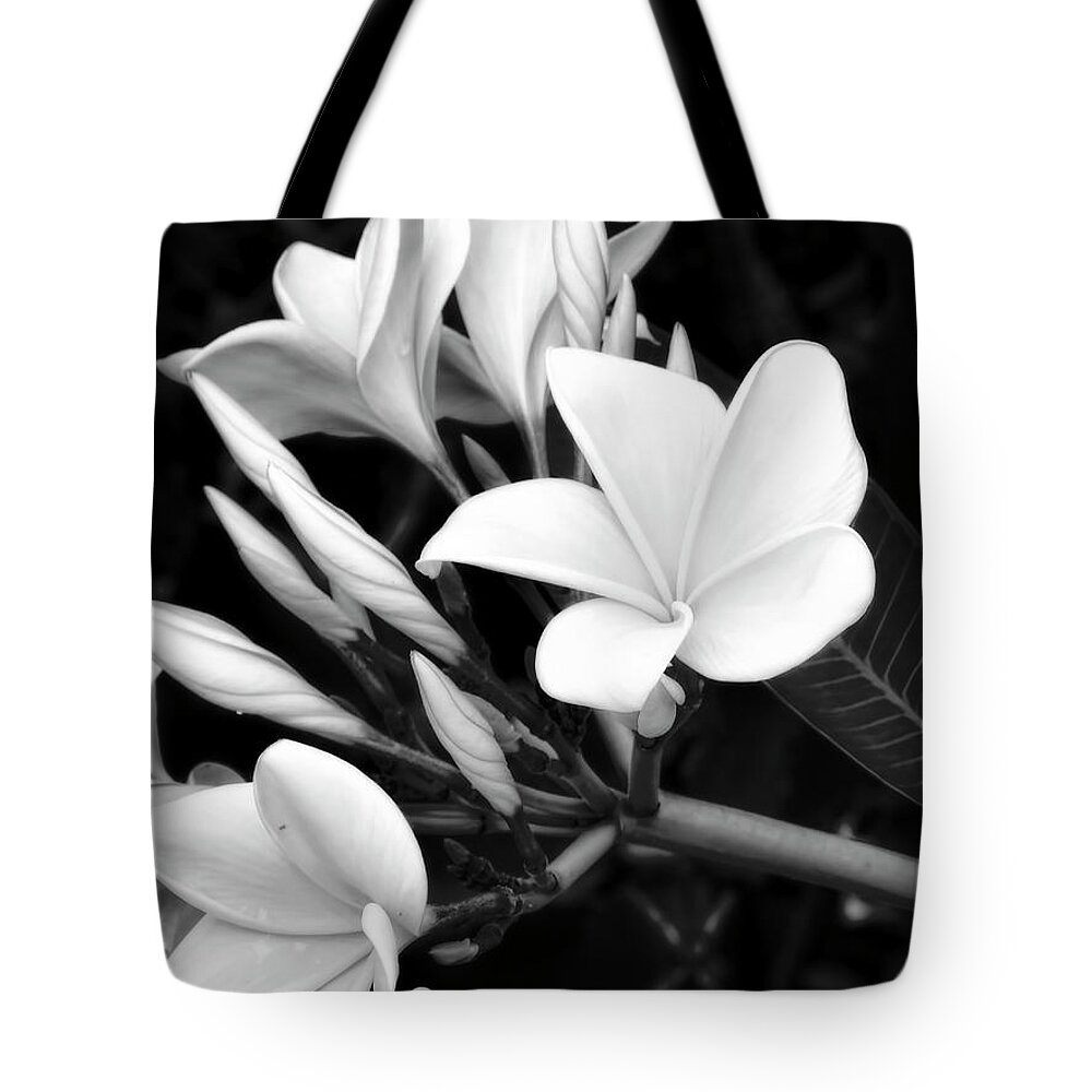 Plumeria Tote Bag featuring the photograph Plumeria Black and White Photograph by Ann Powell