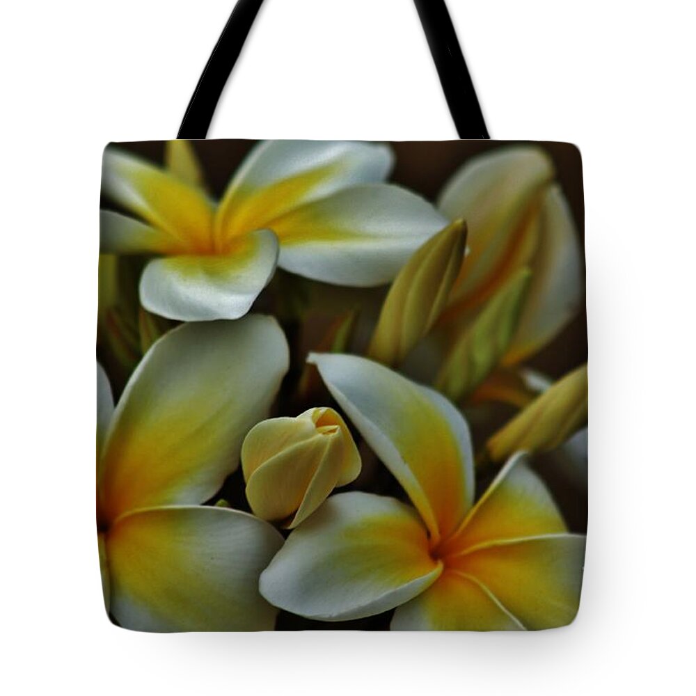 Plumeria Tote Bag featuring the photograph Plumeria in Yellow and White by Craig Wood
